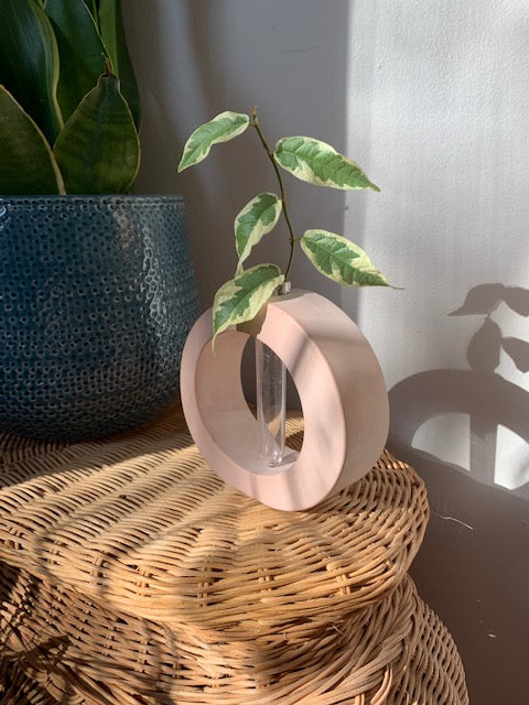 Circular Propagation Stand