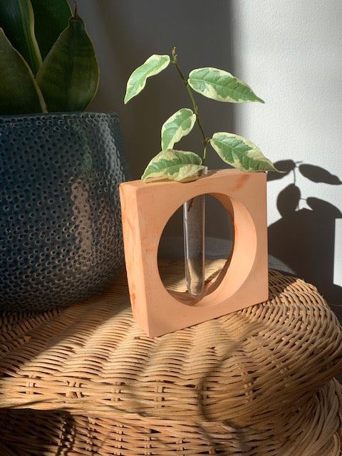 Square Propagation Stand