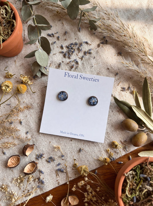 Forget-me-not stud earrings angled overhead view with terracotta pot and dried flowers
