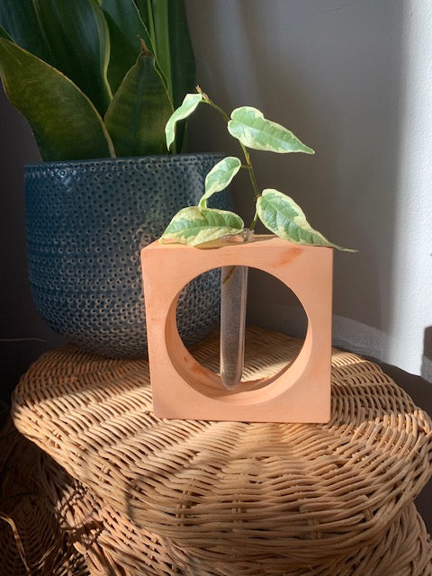 Square Propagation Stand