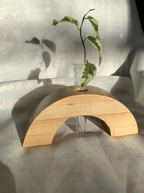 Semi-Circle Propagation Stand