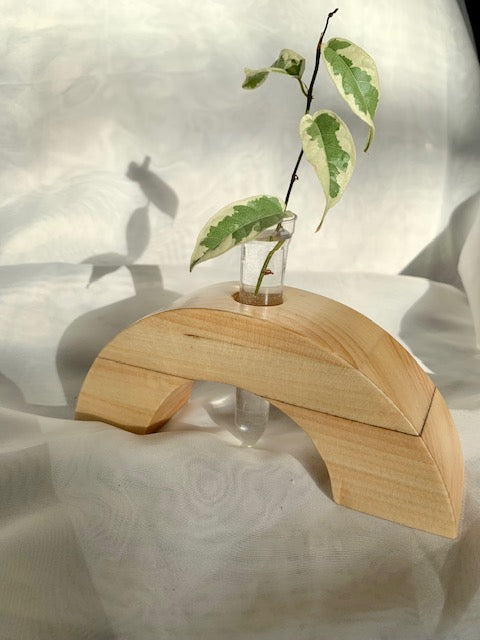 Semi-Circle Propagation Stand